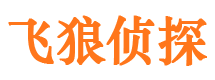 柳北市私家侦探